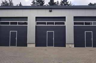 Gewerbeimmobilie mieten in 66877 Ramstein-Miesenbach, Kompakte Lagerhalle mit 55qm in zentraler Lage zu Vermieten!