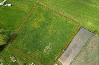 Grundstück zu kaufen in 34308 Bad Emstal, Wohnbaugrundstück in absolut ruhiger Lage von Bad Emstal - OT