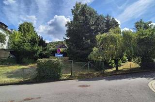 Grundstück zu kaufen in 52396 Heimbach, "Großzügiges Hanggrundstück!"