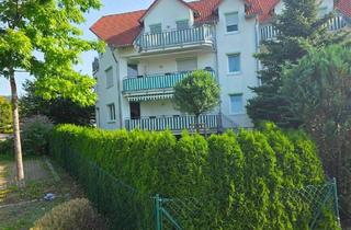 Wohnung kaufen in 89555 Steinheim, Steinheim am Albuch - schöne gepflegte 4 Zimmerwohnung im Erdgeschoss mit Garten und Garage