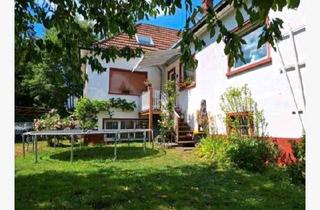 Mehrfamilienhaus kaufen in 64720 Michelstadt, Michelstadt - Michelstadt: großes Mehrfamilienhaus mit drei separaten Wohnungen