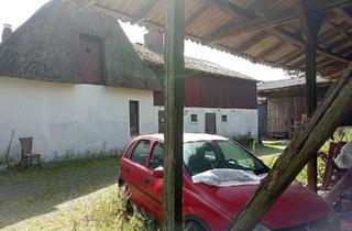 Bauernhaus kaufen in 27729 Hambergen, Hambergen - Kleinen Bauernhof Pferdehof