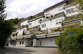 Wohnung kaufen in Am Hollemann 37a, 59929 Brilon, Morgenspaziergang vor der Tür – Eigentumswohnung in Brilon mit Balkon & Waldzugang