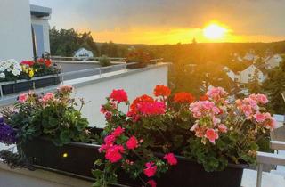 Penthouse kaufen in 90513 Zirndorf, Natur & Zentral Penthousewohnung 4-Zimmer mit Weitblick über Weiherhof