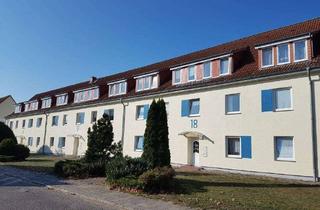 Wohnung mieten in Ringstraße 17, 19370 Parchim, 2-Raum-Wohnung in gepflegter Wohnumgebung