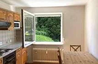 Wohnung mieten in Herner Str. 100, 45699 Herten, Einziehen & Wohlfühlen: Renovierte 2-Zimmer-EG-Wohnung mit Garten und EBK nahe Halde Hoheward