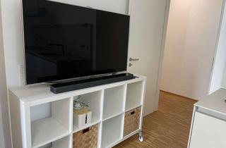 Wohnung mieten in Freudenbergstraße 14, 69469 Weinheim, Voll ausgestattete und möblierte 1-Raum-EG-Wohnung mit luxuriöser Innenausstattung in Weinheim