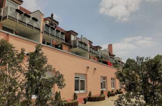 Wohnung mieten in Rosa-Luxemburg-Straße 11, 04808 Wurzen, Außergwöhnliche 2Raumwohnung im Erstbezug, sonnig und lichtdurchflutet.
