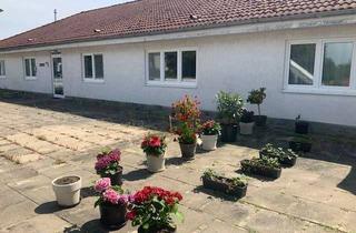 Wohnung mieten in Dobritzer Str., 39261 Zerbst, *** Wohnung mit Terrasse zentral zu vermieten***