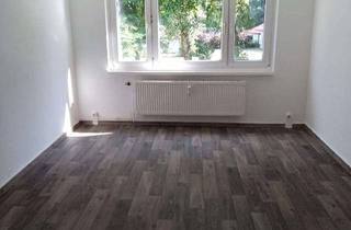 Wohnung mieten in Dorfstr., 18528 Rappin, 3-Zimmer Wohnung im Erdgeschoss auf Rügen