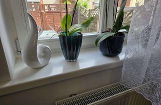 Reihenhaus kaufen in Frauenburger Str., 02826 Südstadt, Gut renoviertes Reihenhaus in ruhige Lage zu verkaufen
