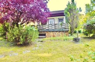 Haus kaufen in 17094 Groß Nemerow, Ankommen, Abschalten und Genießen – charmantes Ferienhaus inmitten der Natur