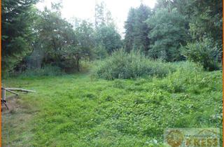 Grundstück zu kaufen in 36396 Steinau, Freizeitgrundstück in der Gemarkung von Steinau mit 2 Teichen, Brunnen und Gartenhütte