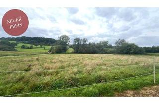 Grundstück zu kaufen in 54439 Merzkirchen, GRENZE LUXEMBURG: 40 AR IN TOP LAGE