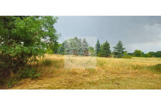 Grundstück zu kaufen in 16269 Wriezen, Wohnen in Ruhiger beschaulicher Umgebung