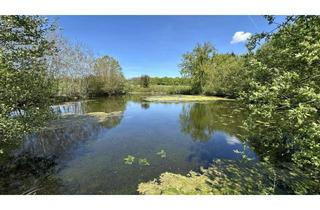 Grundstück zu kaufen in 22952 Lütjensee, Teichanlage bei Lütjensee (22952) – zwei große Teiche mit Zu- und Ablauf, ideal für Naturliebhaber