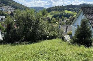 Grundstück zu kaufen in 77883 Ottenhöfen, Weitblick genießen: Großzügiges Hanggrundstück in Ottenhöfen