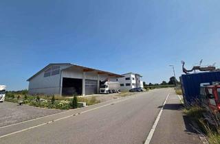 Lager kaufen in 88400 Biberach, Neuwertige Halle mit 3 Sektionaltoren / großzügiges Grundstück bei Biberach