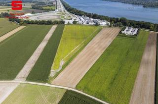 Immobilie kaufen in 85737 Ismaning, Drei landwirtschaftliche Grundstücke in Ismaning