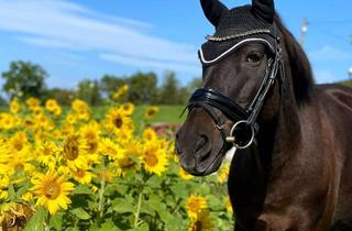 Immobilie kaufen in 82401 Rottenbuch, Secret Sale: Exklusives Hofgut im Oberland – ca. 6 ha Land, Pferdehaltung, Reitplatz, top-saniert
