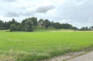 Gewerbeimmobilie kaufen in 86498 Kettershausen, *** Grünland - Gemarkung Zaiertshofen ***