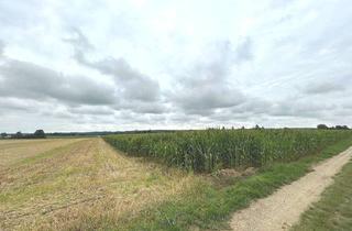 Gewerbeimmobilie kaufen in 86498 Kettershausen, *** Über 3 ha Ackerfläche - Gemarkung Zaiertshofen ***