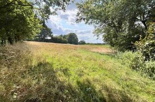 Gewerbeimmobilie kaufen in 46282 Dorsten, Ackerland in Dorsten-Östrich