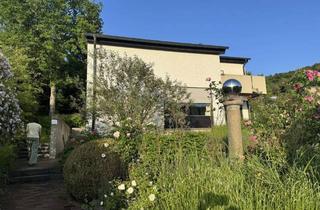 Haus kaufen in 93152 Nittendorf, Großes Architektenhaus mit Pool, Sauna und tollem unverbautem Ausblick