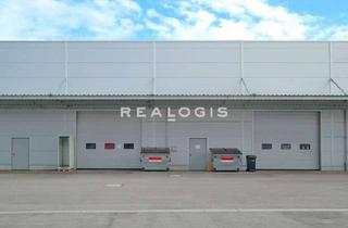 Gewerbeimmobilie mieten in 85283 Wolnzach, Wolnzach – ca. 1.700 m² Logistikhalle in Top-Lage am Autobahndreieck „Holledau“ zu vermieten