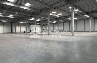 Büro zu mieten in 85283 Wolnzach, ***Auch Kurzzeitvermietungen bis zu 12 Monate möglich! Moderne 12.000 m² Logistikflächen mit Büro***