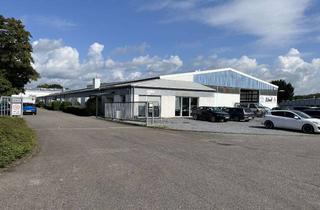 Gewerbeimmobilie mieten in Borsigstraße 60, 52525 Heinsberg, Lagerhalle mit 800 m² direkt an der B221 – flexibel nutzbar, ab 01.01.2026 oder früher
