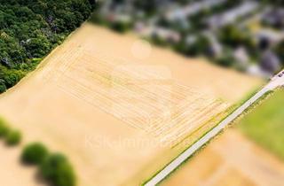 Grundstück zu kaufen in 53913 Swisttal, Landwirtschaftliche Fläche in Swisttal-Morenhoven.