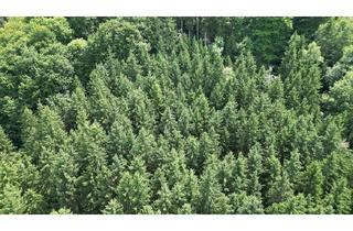 Grundstück zu kaufen in 83093 Bad Endorf, Gut erreichbare Waldfläche mit gemischten Bestand sowie Jungpflanzung