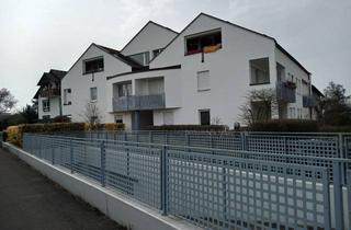 Wohnung mieten in 79115 Weingarten, Modernisierte 2-Zimmer-Erdgeschosswohnung mit Terrasse in Freiburg im Breisgau