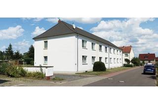 Mehrfamilienhaus kaufen in 06188 Niemberg, Attraktives Mehrfamilienhaus mit 8 Parteien - Vollvermietet!