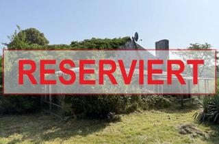 Bauernhaus kaufen in 46446 Emmerich, Sanierungsbedürftiger Bauernhof mit Nebengebäuden im Außenbereich von Emmerich-Elten