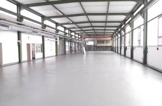 Gewerbeimmobilie mieten in Wilhelmstraße 45/47, 74366 Kirchheim, Vermietung Halle