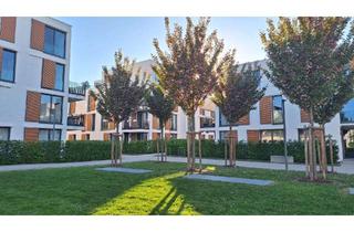 Wohnung mieten in 89077 Söflingen, Neuwertige 2-Raum-EG-Wohnung mit gehobener Innenausstattung mit EBK in Ulm-Söflingen