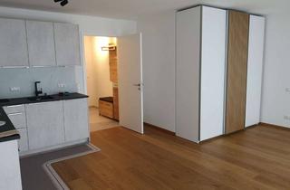 Wohnung mieten in Kreuzerweg 44, 81825 Trudering-Riem, Erstbezug mit Balkon und EBK: Stilvolle 1-Raum-Wohnung mit geh. Innenausstattung