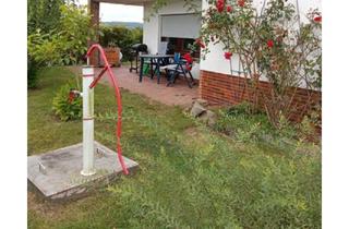Wohnung mieten in Darmstädter Straße 11, 35108 Allendorf, Schöne und modernisierte 4-Zimmer-Terrassenwohnung mit EBK in Allendorf (Eder)