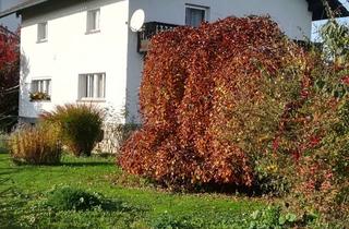 Einfamilienhaus kaufen in 94522 Wallersdorf, Preiswertes 6-Zimmer-Einfamilienhaus in Altenbuch Wallersdorf