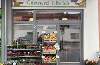 Geschäftslokal mieten in Moritzburger Straße 84, 01640 Coswig, Nachmieter für Ladenlokal mit Klimaanlage gesucht