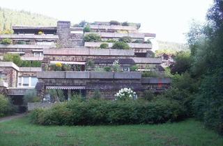 Wohnung kaufen in 75323 Bad Wildbad, Bad Wildbad - Zweizimmer Eigentumswohnung direkt am Kurpark in ruhiger Lage