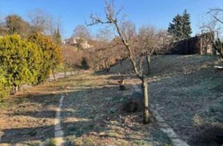 Haus kaufen in 75045 Walzbachtal, Walzbachtal - Bauplatz mit großem Garten
