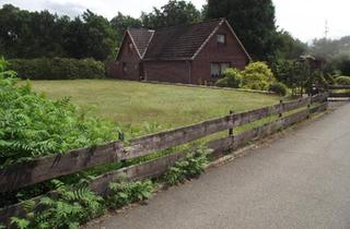 Einfamilienhaus kaufen in 29646 Bispingen, Bispingen - Charmantes Einfamilienhaus in Behringen
