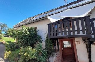 Bauernhaus kaufen in 76857 Albersweiler, Stein - Klassik trifft Moderne
