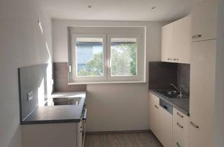 Wohnung mieten in 74676 Niedernhall, Dachgeschoß mit Balkon und Einbauküche: Geschmackvolle 2-Zimmer-DG-Wohnung mit geh. Innenausstattung
