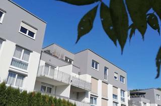 Wohnung mieten in Im Donaupark, 78194 Immendingen, Stilvolle, gepflegte 3-Zimmer-Erdgeschosswohnung mit geh. Innenausstattung mit Terrasse, Garten