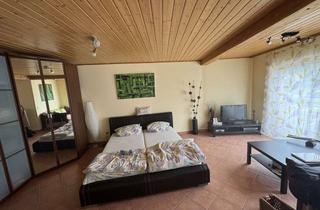 Wohnung mieten in Bahnhofstraße, 55234 Bechtolsheim, Freundliche 1-Zimmer-Wohnung in Bechtolsheim