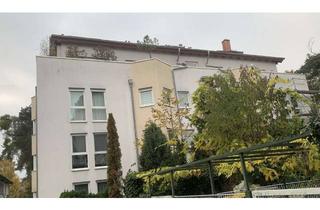 Wohnung mieten in 64347 Griesheim, Gepflegte 2-Zimmer-Wohnung mit Balkon in Griesheim (Strassenbahn fussläufig)